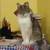 Отзыв от Евгения Токарева